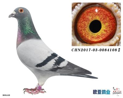 古瓦特
