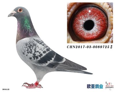 范林登