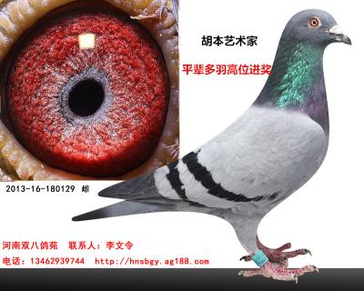 胡本
