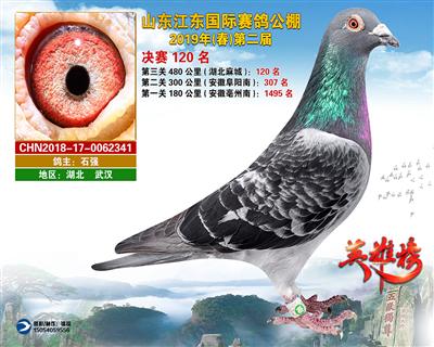 山东江东国际赛鸽公棚获奖鸽决赛120名