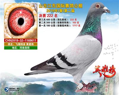 山东江东国际赛鸽公棚获奖鸽决赛222名