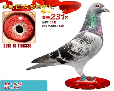 安徽百太决赛231名