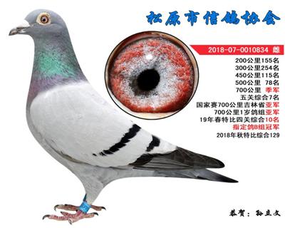孙立文成绩鸽