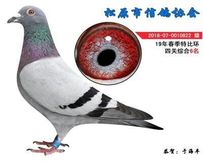 于海峰