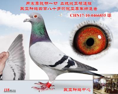 路易斯凡龙715X166直子X715X166直女同父同母近亲
