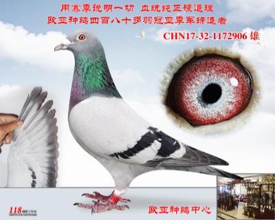 詹森老白眼427X914直子配427X888直女同父异母