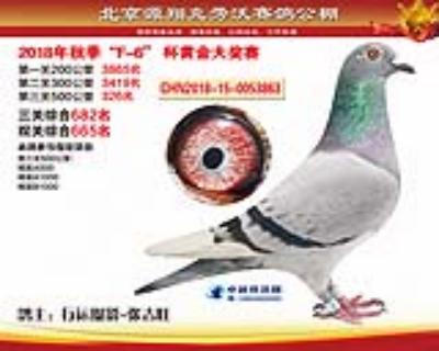 北京克勞沃公棚決賽326名!!