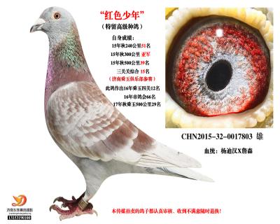 自身300公里亞軍!!