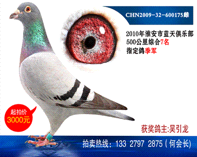 500公里7名