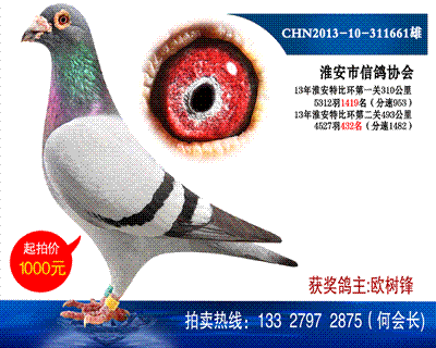 多次獲獎