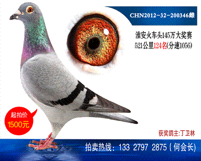 145萬大獎賽520公里124名