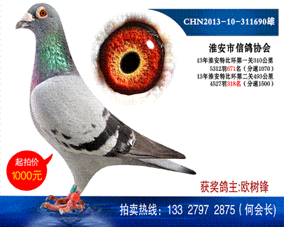 多次獲獎