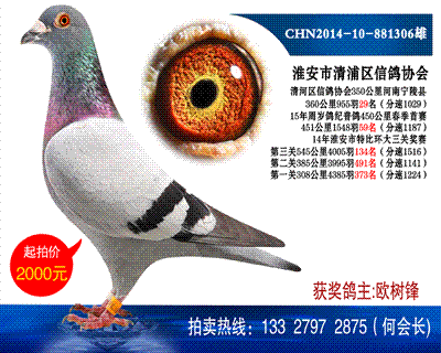 多次獲獎