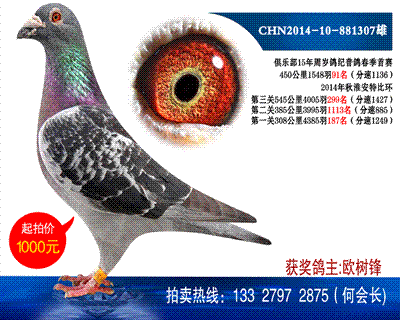 多次獲獎