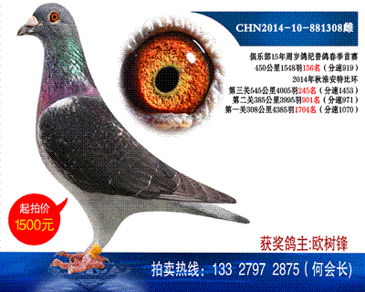 多次獲獎