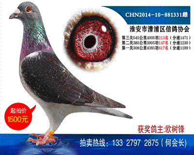 多次獲獎