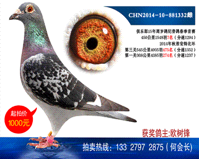 多次獲獎