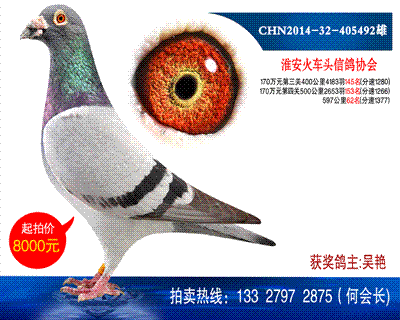 600公里62名
