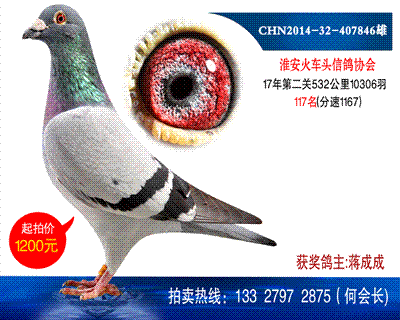530公里117名
