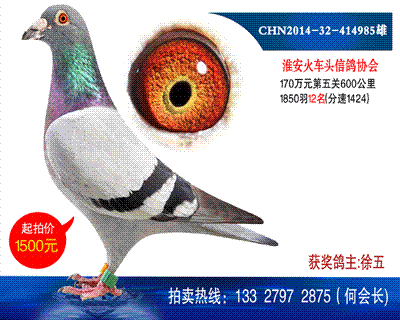 600公里12名
