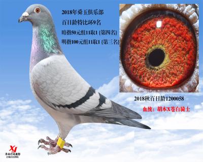 18年秋舜玉俱樂部百日齡特比決賽9名