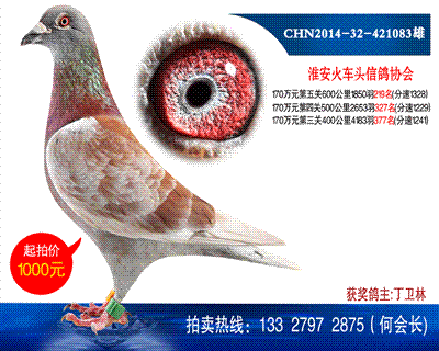 多次獲獎