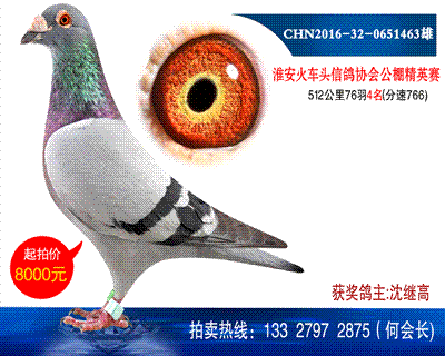 500公里4名