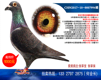 多次獲獎