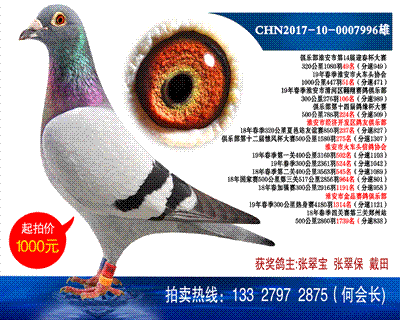 多次獲獎