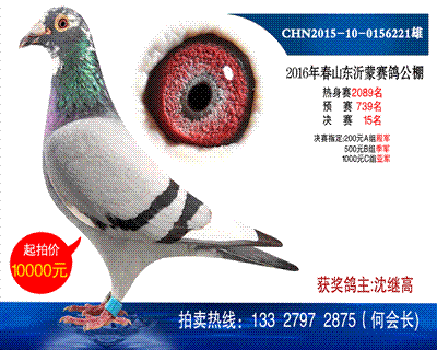 公棚15名