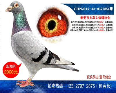 多次獲獎