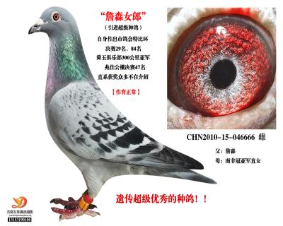 詹森X南飛冠亞軍直女!!!