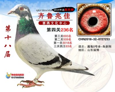 19年兆佳精英棚236名