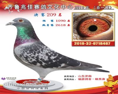兆佳春一209名