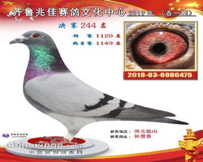 兆佳春一244名