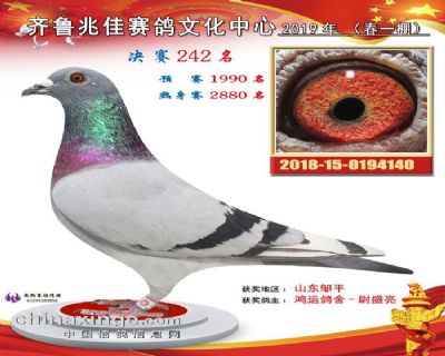 兆佳春一242名