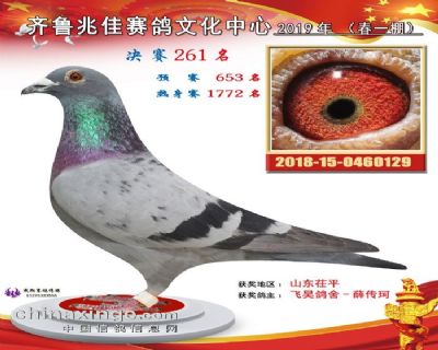 兆佳春一261名