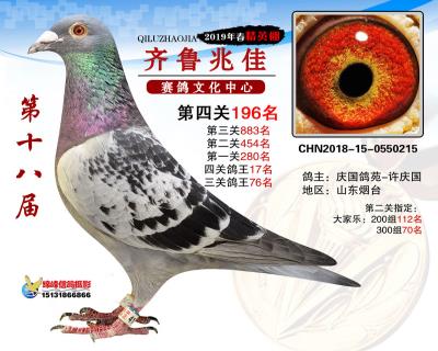 19年兆佳精英棚196名