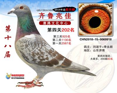 19年兆佳精英棚202名