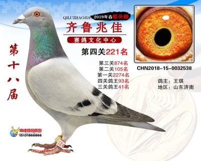 19年兆佳精英棚221名
