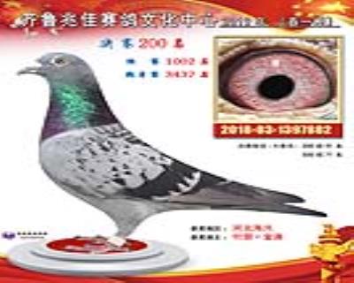 兆佳春一200名