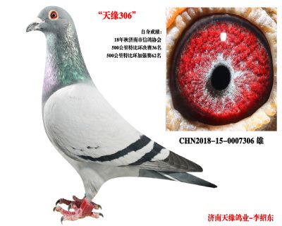 【佛巴斯】-濟南市特比環決賽36名