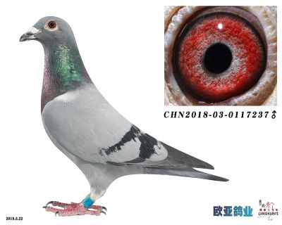 桑杰士
