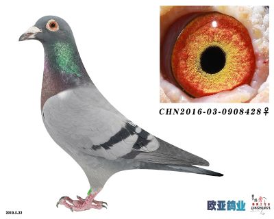 罗伯特X桑杰士