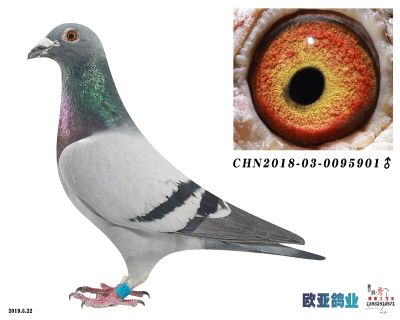 关口西翁