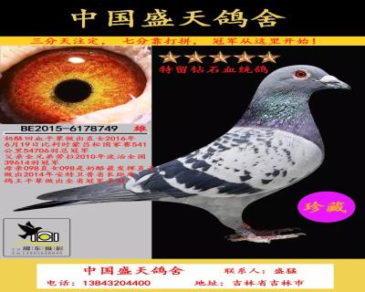 第一配對子代1萬一只