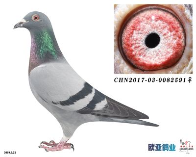 林波尔