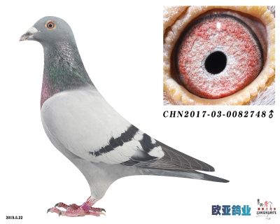 林波尔
