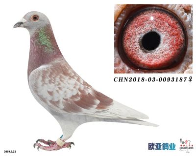 雅克布莱昂