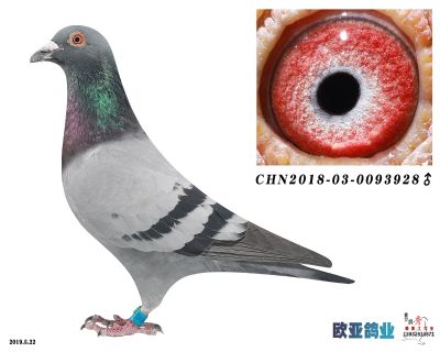 古瓦特